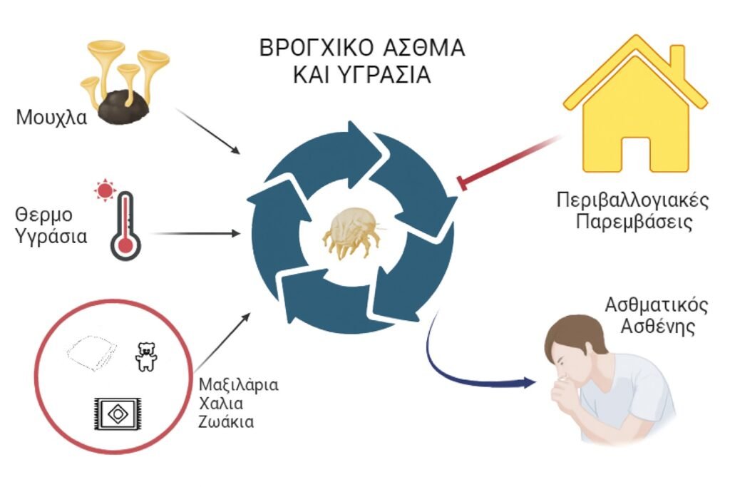 βρογχικο ασθμα και υγρασια